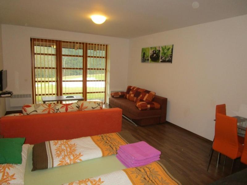 Apartmán Říčky v Orlických Horách Pustiny Exterior foto