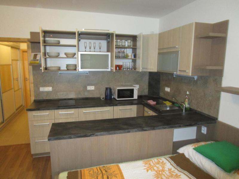 Apartmán Říčky v Orlických Horách Pustiny Exterior foto