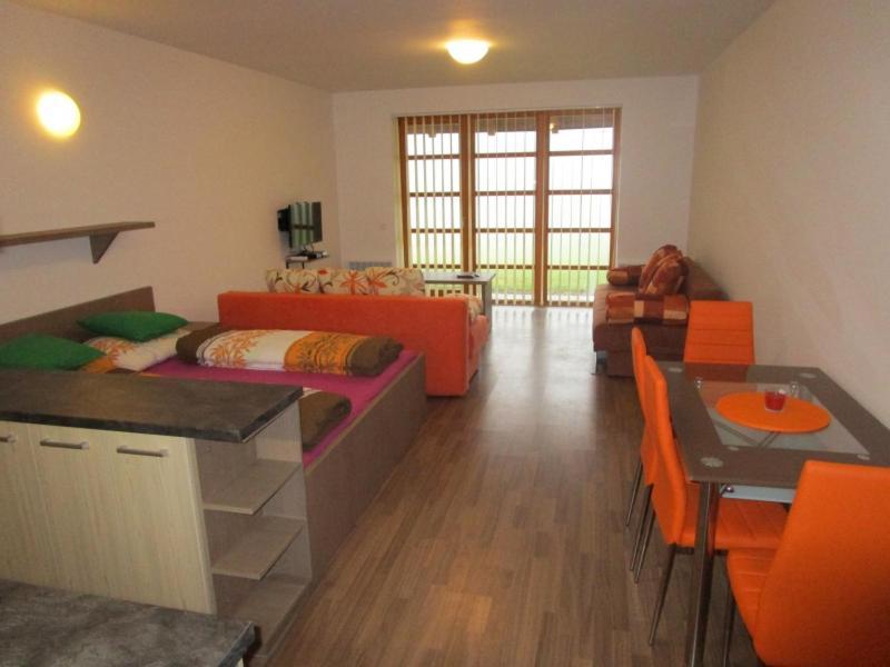 Apartmán Říčky v Orlických Horách Pustiny Exterior foto